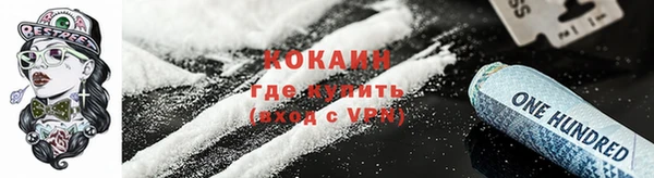 амф Пересвет