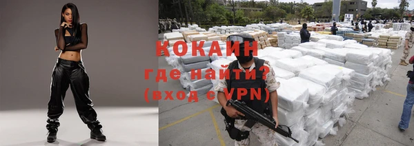молекула духа Пестово