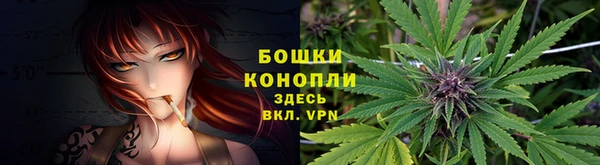 молекула духа Пестово