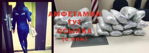 молекула духа Пестово