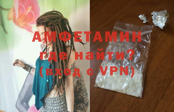 молекула духа Пестово