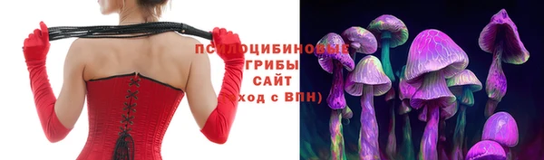 молекула духа Пестово