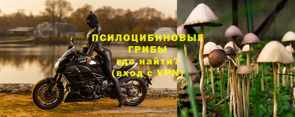амф Пересвет