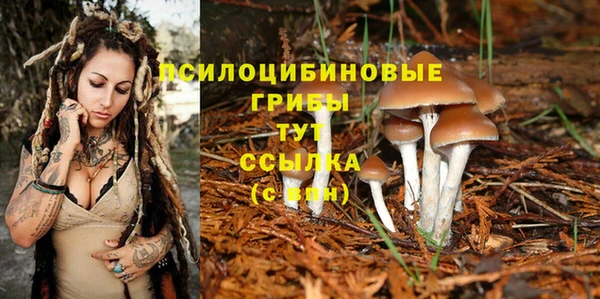 MESCALINE Переславль-Залесский