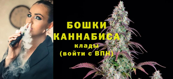 амф Пересвет