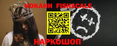 спиды Кингисепп