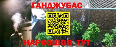 спиды Кингисепп