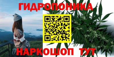 дмт Будённовск