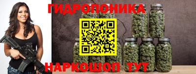 спиды Кингисепп