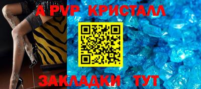 спиды Кингисепп