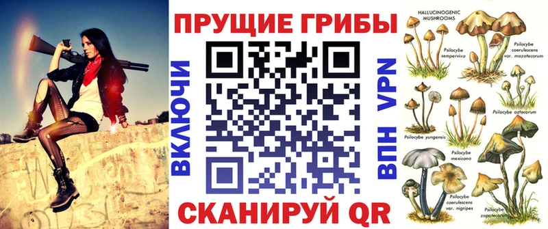 наркотики Истра Псилоцибиновые грибы MAGIC MUSHROOMS