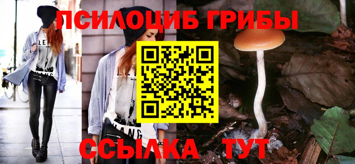 Галлюциногенные грибы мухоморы  Истра 